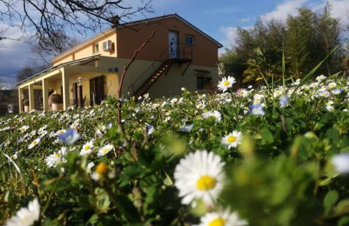 Golden Valley apartment & ranch - Foto 7