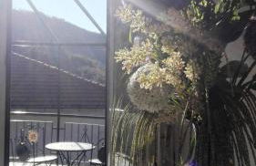 Villa HELVEZIA - Foto 35