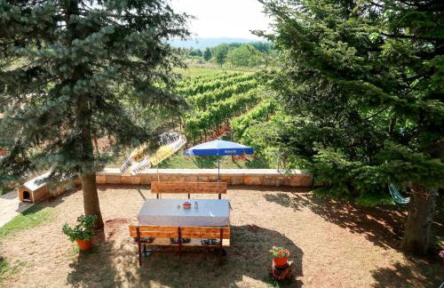 Apartment Mirjana-1 by Interhome - Foto 15