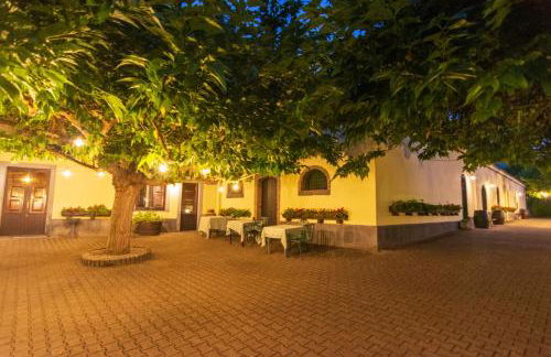 L'Antica Vigna - Foto 13