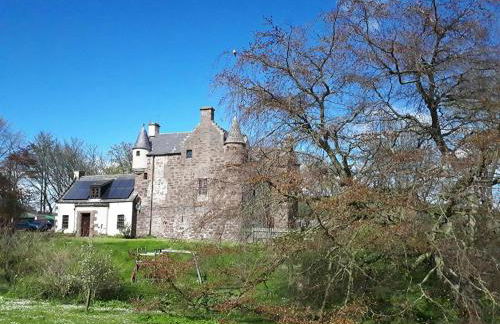 Hallgreen castle - Photo 12