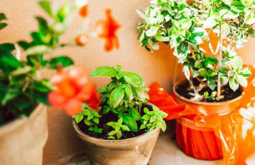 Dominoes Corfu - Foto 42