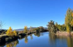 La Carpintería - Foto 19