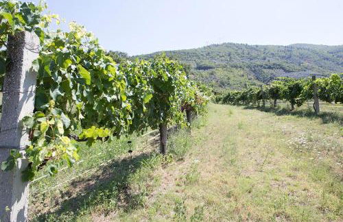 Agriturismo I Melograni - Foto 19