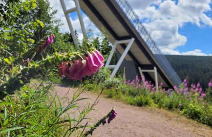 Wohlfühl-Ferienwohnung mit Tiefgarage im Grünen - Photo 8