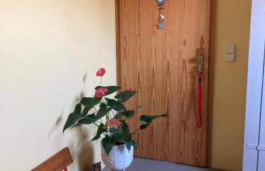 Ferienwohnung an der Zschopau - Photo 32