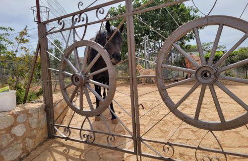 Riviera Paradiso - Foto 12