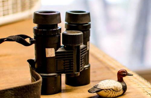 Spacious Cabin for a Group Getaway Overlooking Junior Lake in Florida - Foto 21