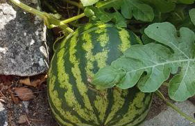 VILLA PALIOS STATHMOS - Foto 30