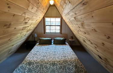 Bearly Behavin - Foto 72