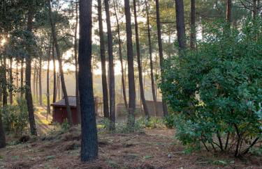 AGREABLE T2 LISIERE DU GOLF LACANAU OCEAN - Foto 6