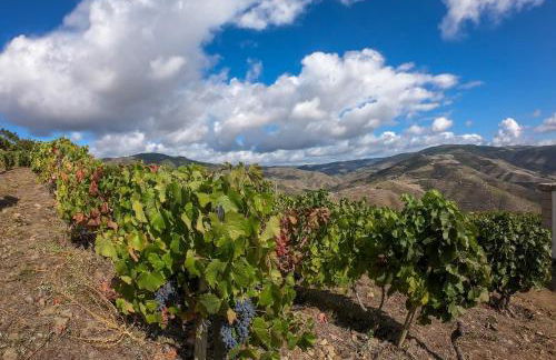 Casa da Padaria - Foto 38