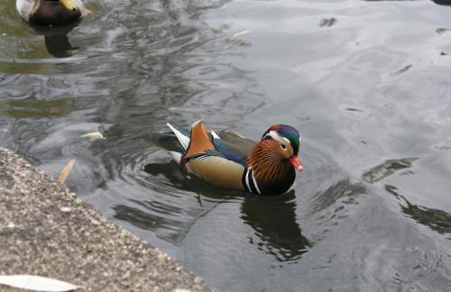 Domizil Neu Venedig - Foto 28