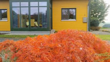 Das gelbe Landhaus - Foto 4