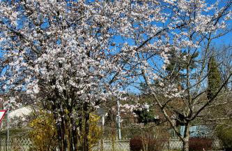 FeWo "Im Birnaublick" am Bodensee, Konstanz-Wallhausen - Foto 10