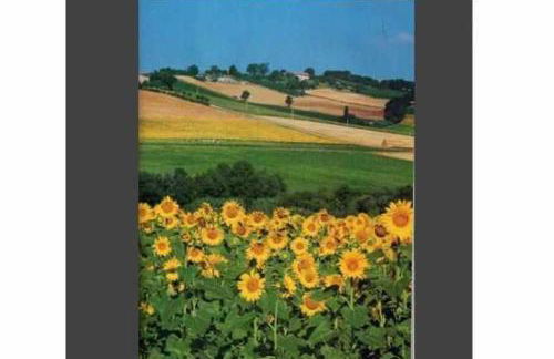 CASA LELLA Monte San Pietrangeli - Foto 9