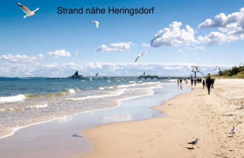 Ferienhaus Oogenstern USEDOM -ruhige Lage-Fischerdorf Zirchow Hund auf Anfrage - Foto 24