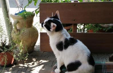 Haus mit Seele im Nahetal - Foto 30