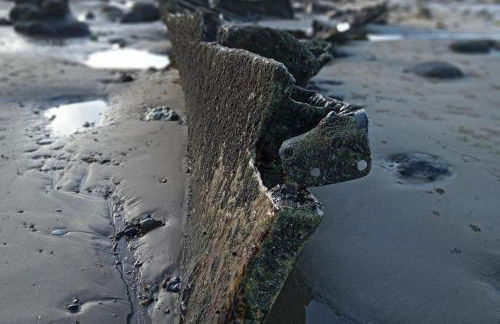 Premium Caravan - Sleeps 6 - Parking - Pool - Foto 22