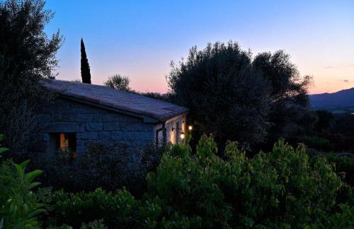 Les bergeries alivaccia - Foto 14