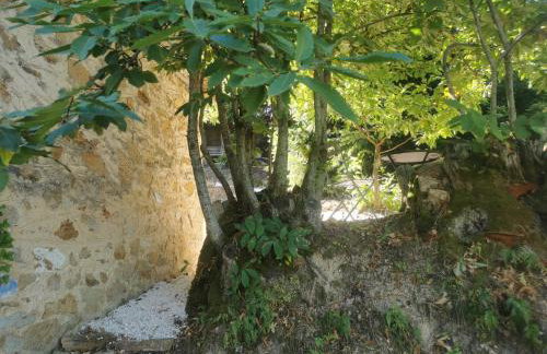 Dendrocopos Medius - Photo 20