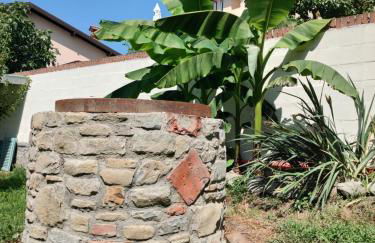 Il Giardino di Claudia Cardamomo - Foto 15