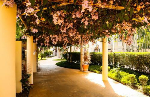 Apartamento na Praia - Foto 15