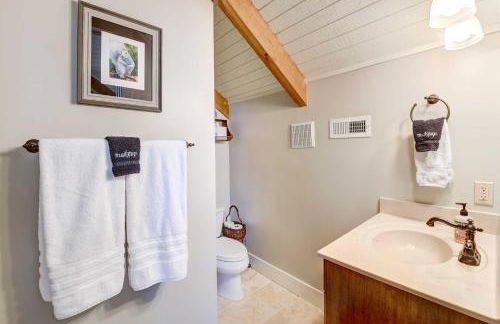 Lake Access and On-Site Creek Lake Toxaway Home! - Foto 15