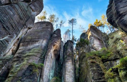 Apartament z kominkiem RetroGlam - Foto 27