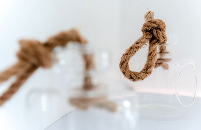 Magic Garden Pool - Foto 48