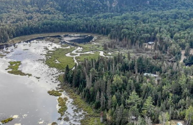Le Grand Duc- SPA Sauna- Bord Rivi re Noire - Foto 54
