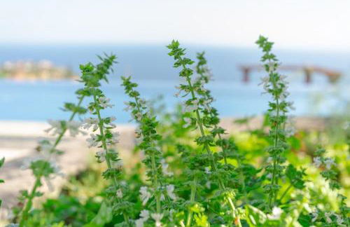 Villa Miradouro da Baleia (Heated Pool optional) - Foto 27