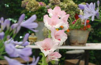 Appartamento Fanciullacci - Foto 14