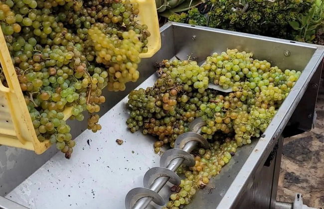 Finca La Calabacera Casa Azul - Foto 27