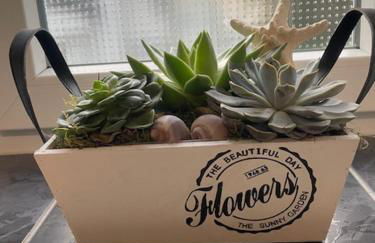 FeWo am Kurpark - Foto 17