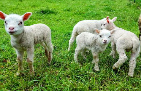 Casa Nayala - Foto 56