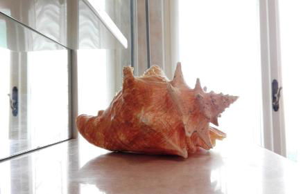 Amelie House - Foto 30