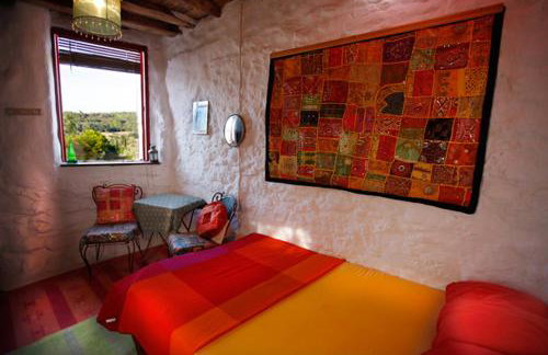 Clive and Bifi's house - Foto 20