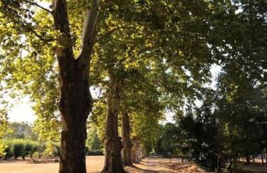 Historic French townhouse - Foto 30