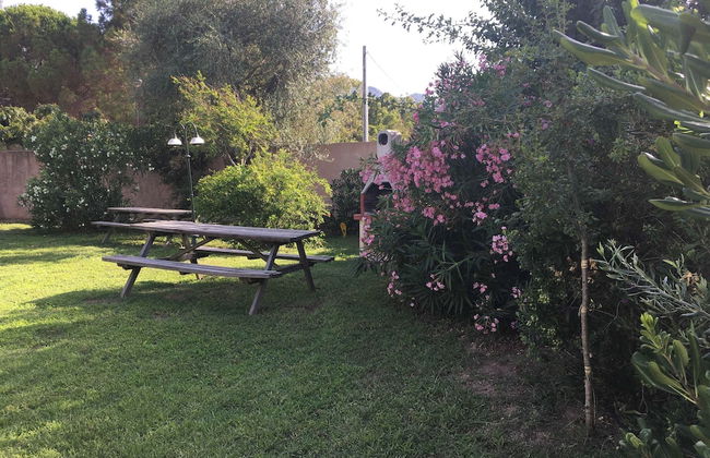 Les Mûriers - Photo 49