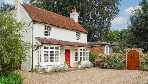 Charming Surrey Cottage perfect for Autumn or Winter gatherings - Foto 1, Garden, Garden view