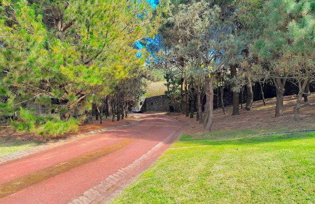 Gala Da Vittoria - Foto 12