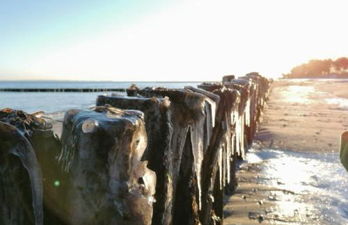 Alte Stellmacherei - Ferienwohnung 2 - Foto 25