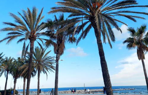 Confort apartamentos en playa, 3 DRM - Foto 40