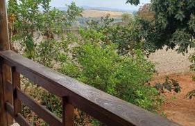 Casa em Igarape - Photo 1