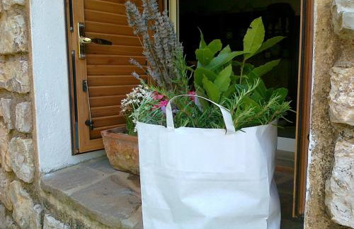 L' Amabile Geko - Foto 15