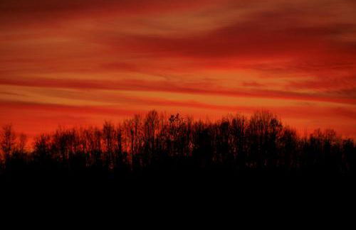 Casa Volpe - Foto 30