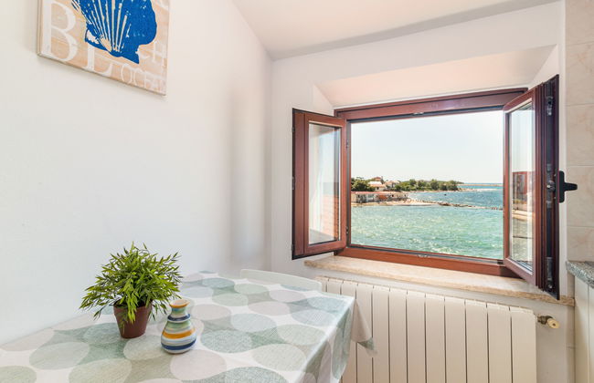 Antonella & Napoletano - Foto 8