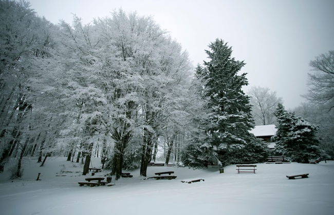 Green Hill Zagreb - Apartment Zen - Foto 1