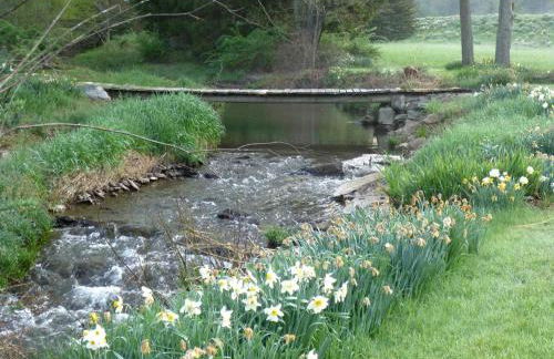 Large and Spacious Lakeside Cabin with Mountain Views in Fairhope, Pennsylvania - Foto 20